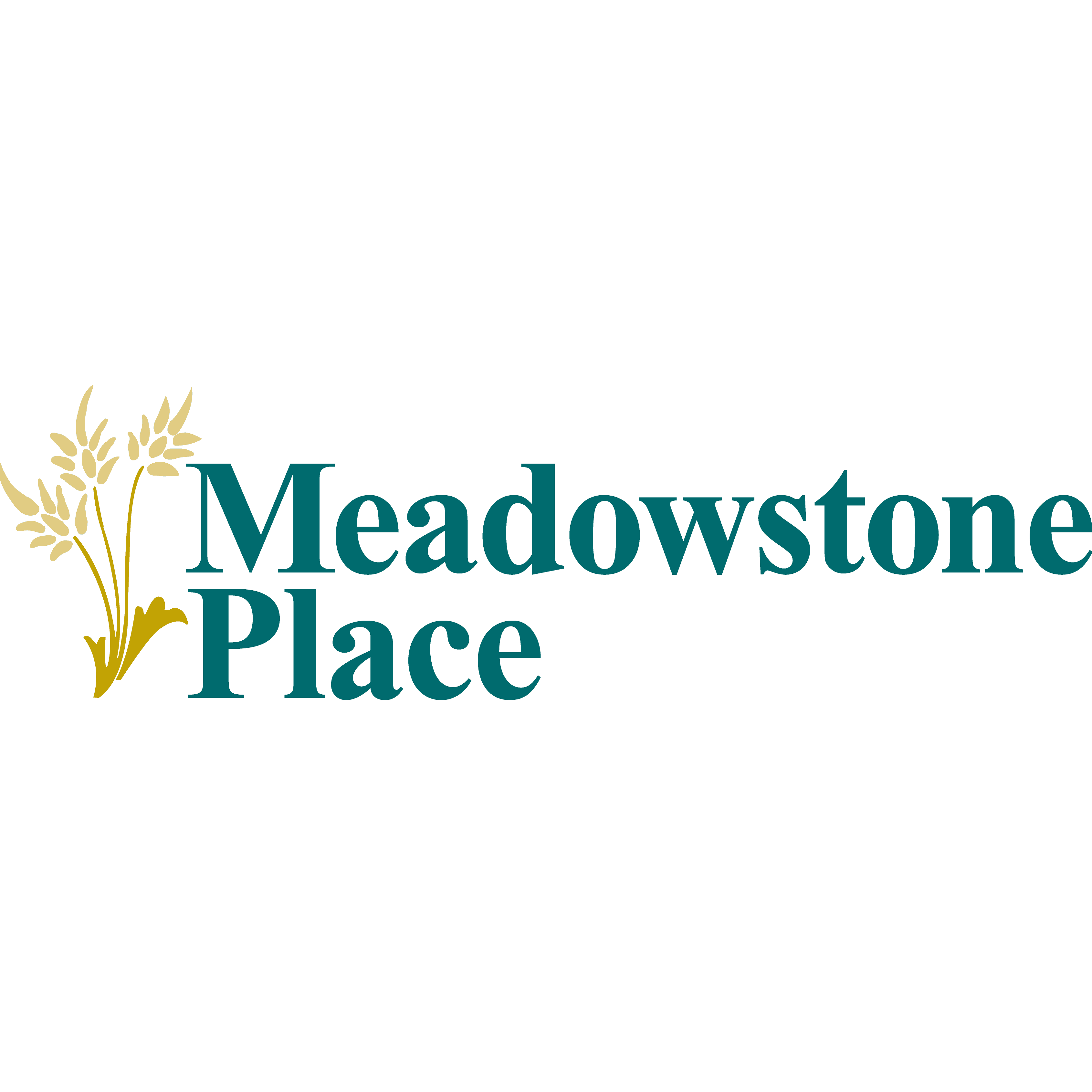 Meadowstone Place Dallas (214)987-0943