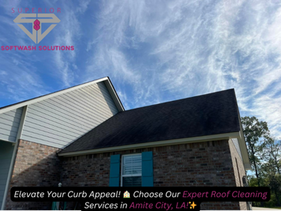 Superior Softwash Solutions - Walker, LA