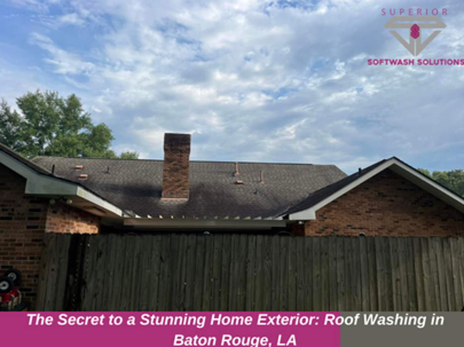 Superior Softwash Solutions - Walker, LA