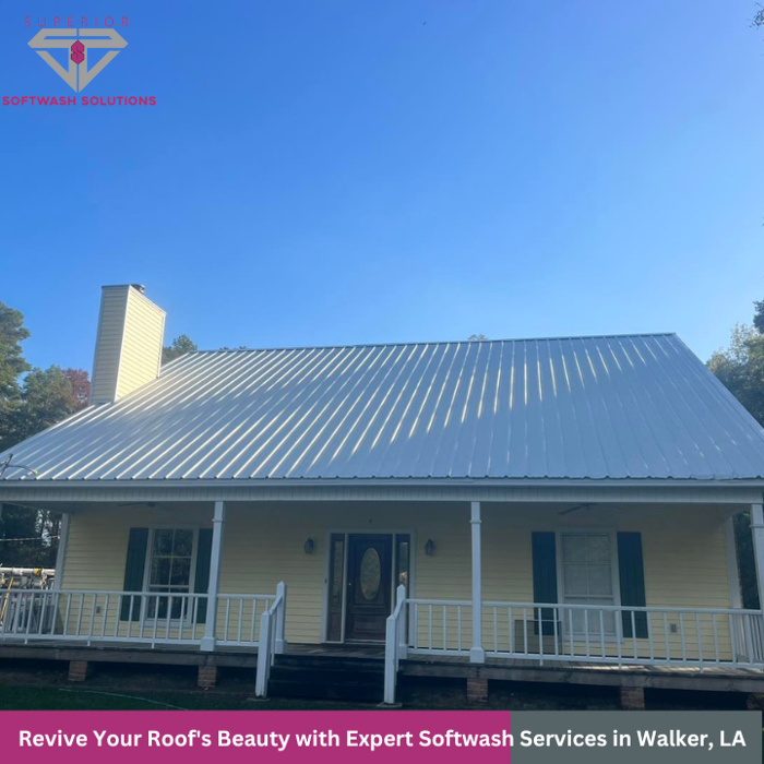 Superior Softwash Solutions - Walker, LA