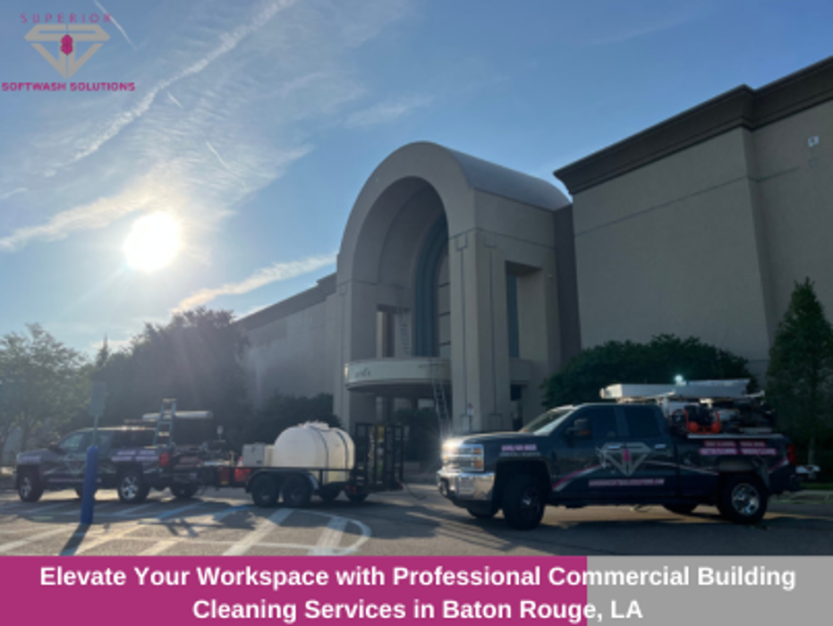 Superior Softwash Solutions - Walker, LA