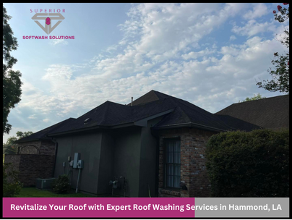 Superior Softwash Solutions - Walker, LA