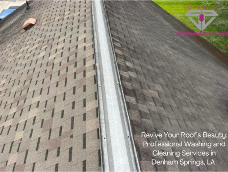 Superior Softwash Solutions - Walker, LA