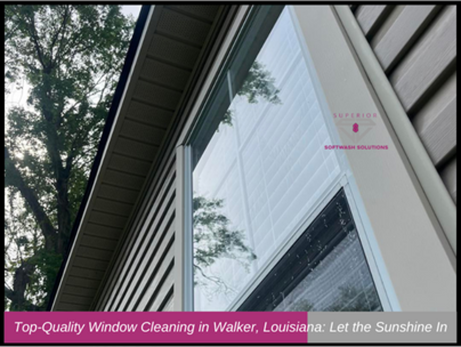 Superior Softwash Solutions - Walker, LA
