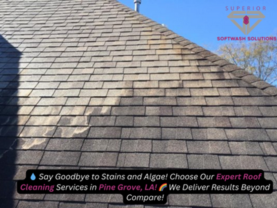Superior Softwash Solutions - Walker, LA