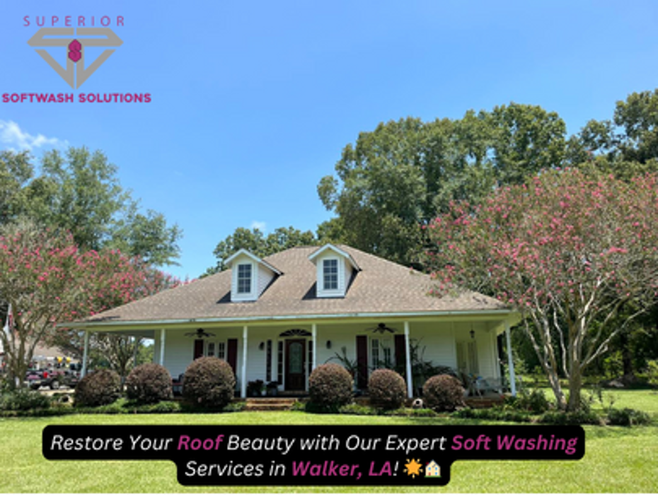 Superior Softwash Solutions - Walker, LA