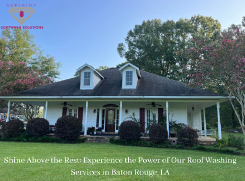 Superior Softwash Solutions - Walker, LA