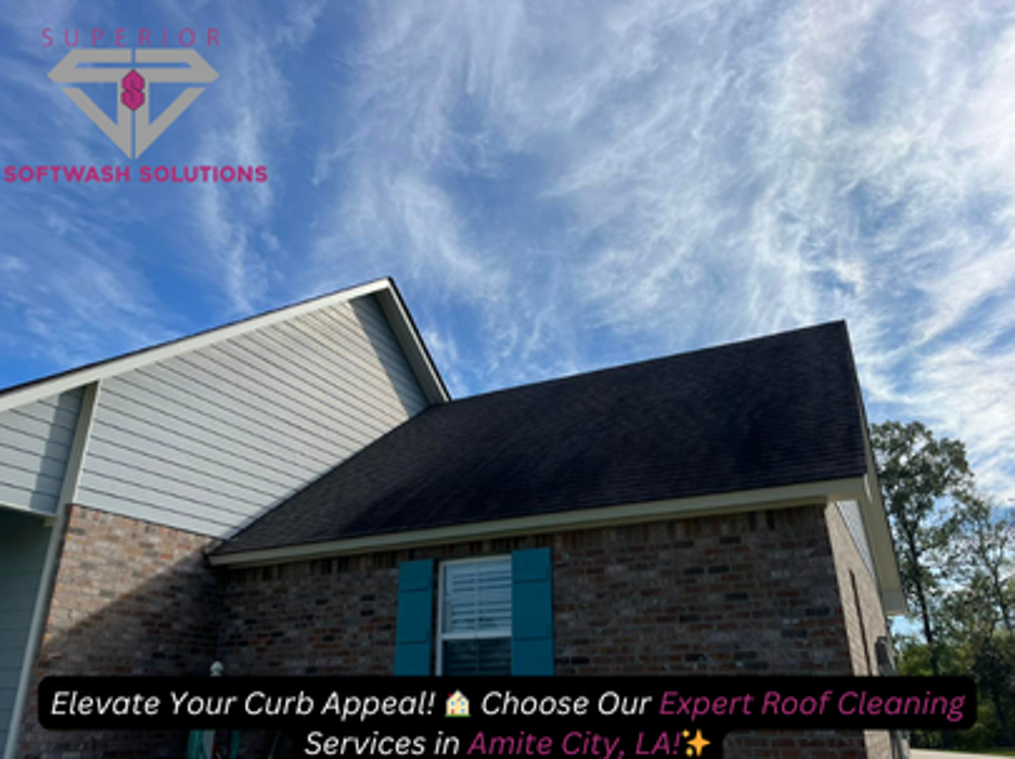 Superior Softwash Solutions - Walker, LA