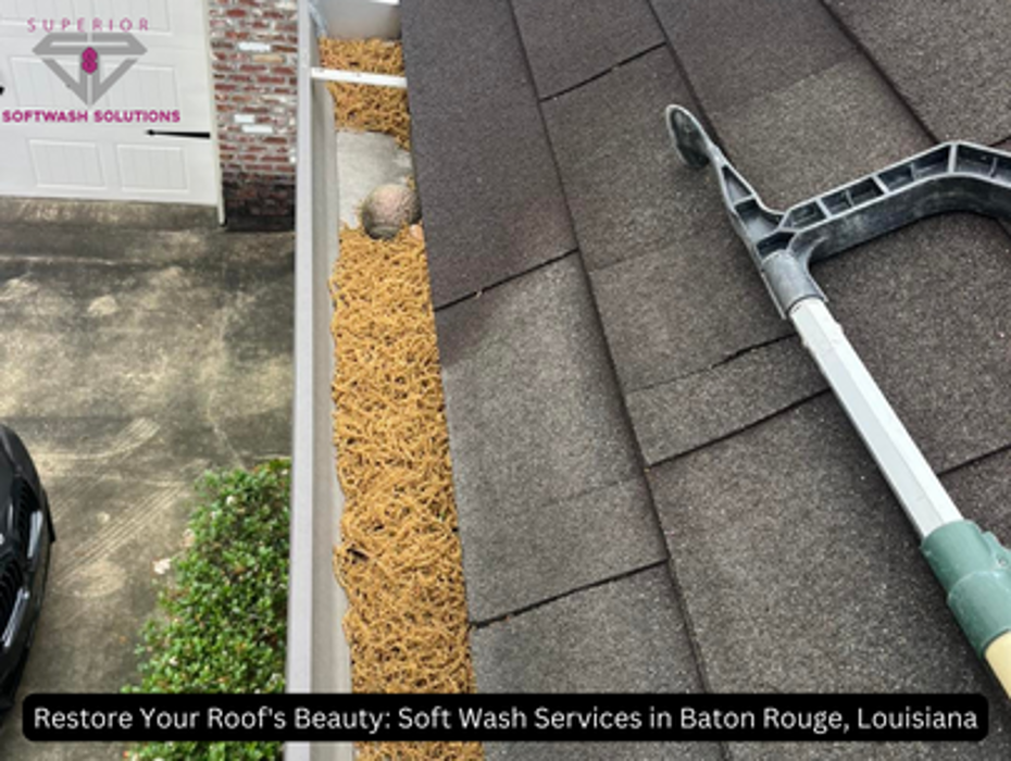 Superior Softwash Solutions - Walker, LA