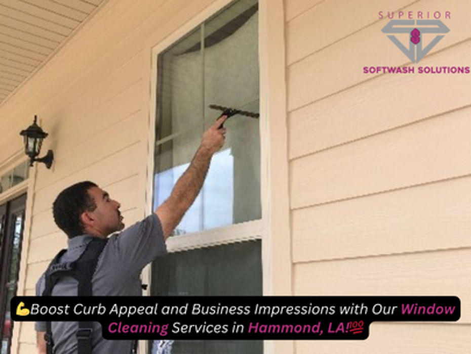 Superior Softwash Solutions - Walker, LA