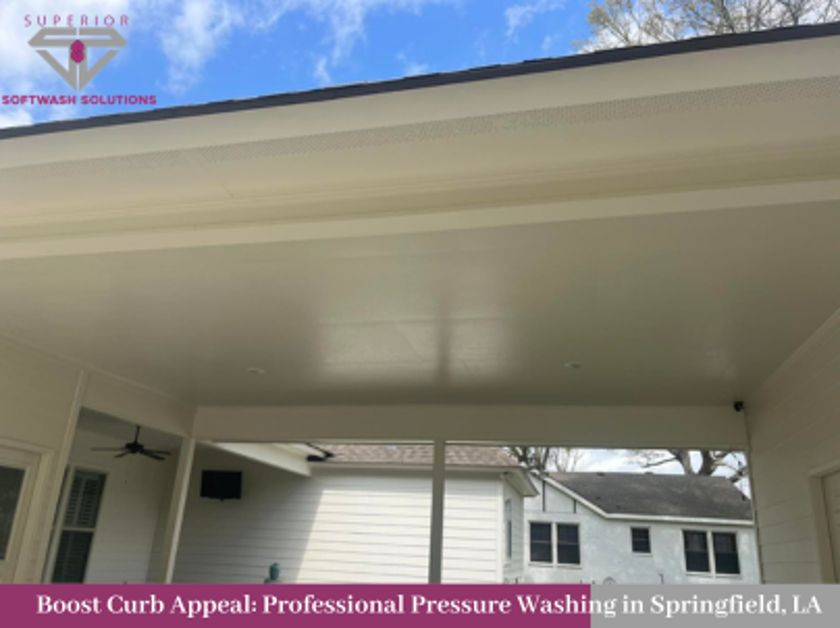 Superior Softwash Solutions - Walker, LA