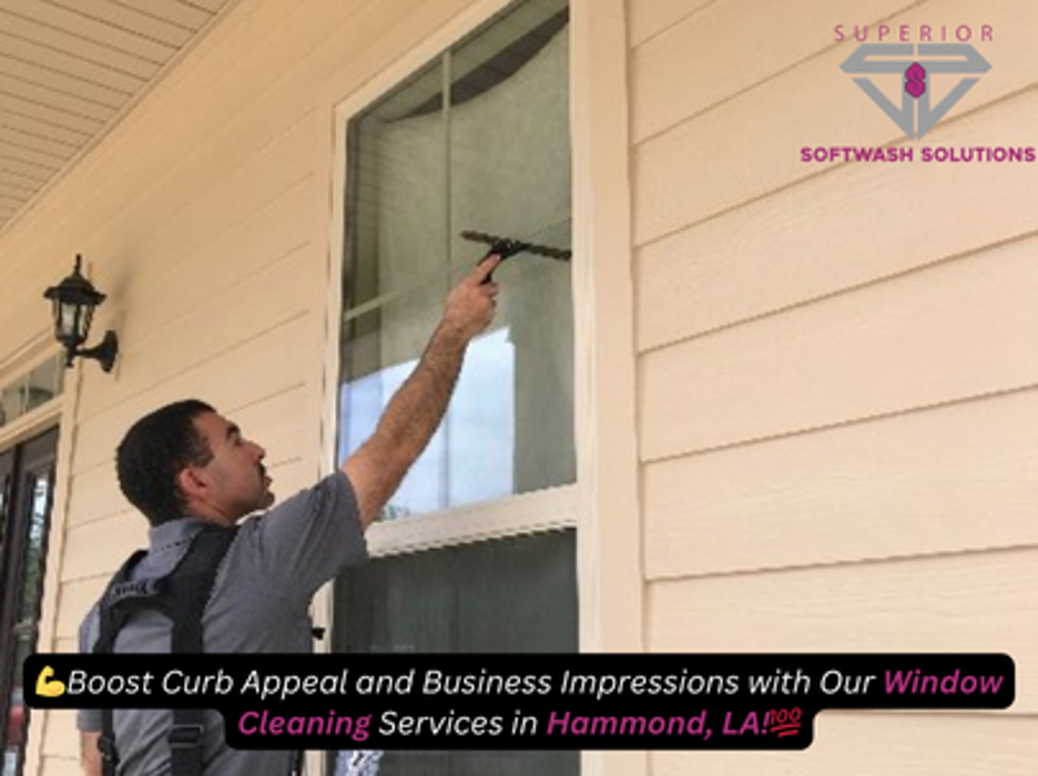 Superior Softwash Solutions - Walker, LA