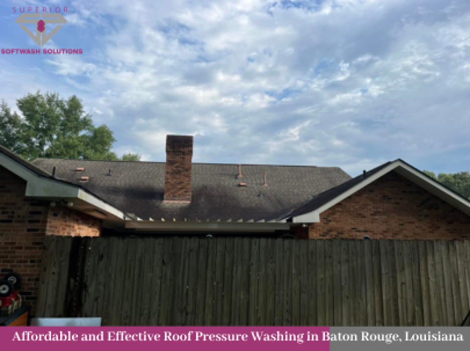 Superior Softwash Solutions - Walker, LA