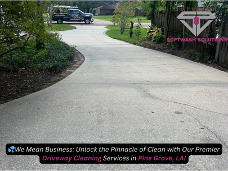 Superior Softwash Solutions - Walker, LA