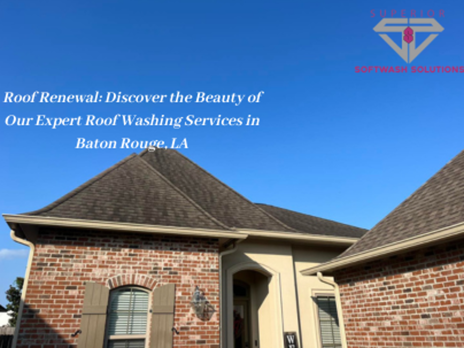 Superior Softwash Solutions - Walker, LA