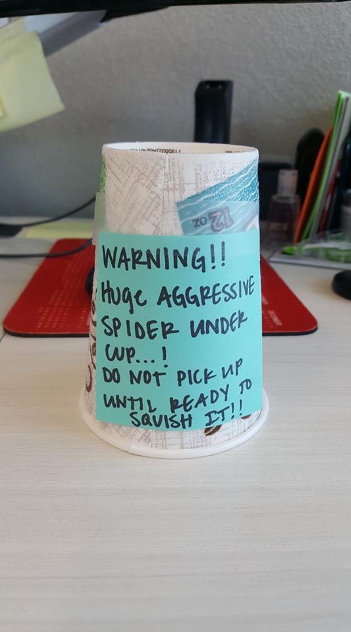 Pine Insurance - Andover, MN