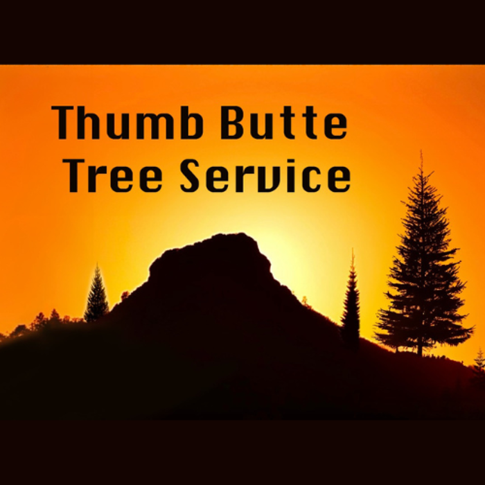 Thumb Butte Tree Service - Prescott, AZ