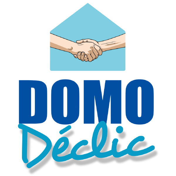 Domodéclic association en relation avec le handicap