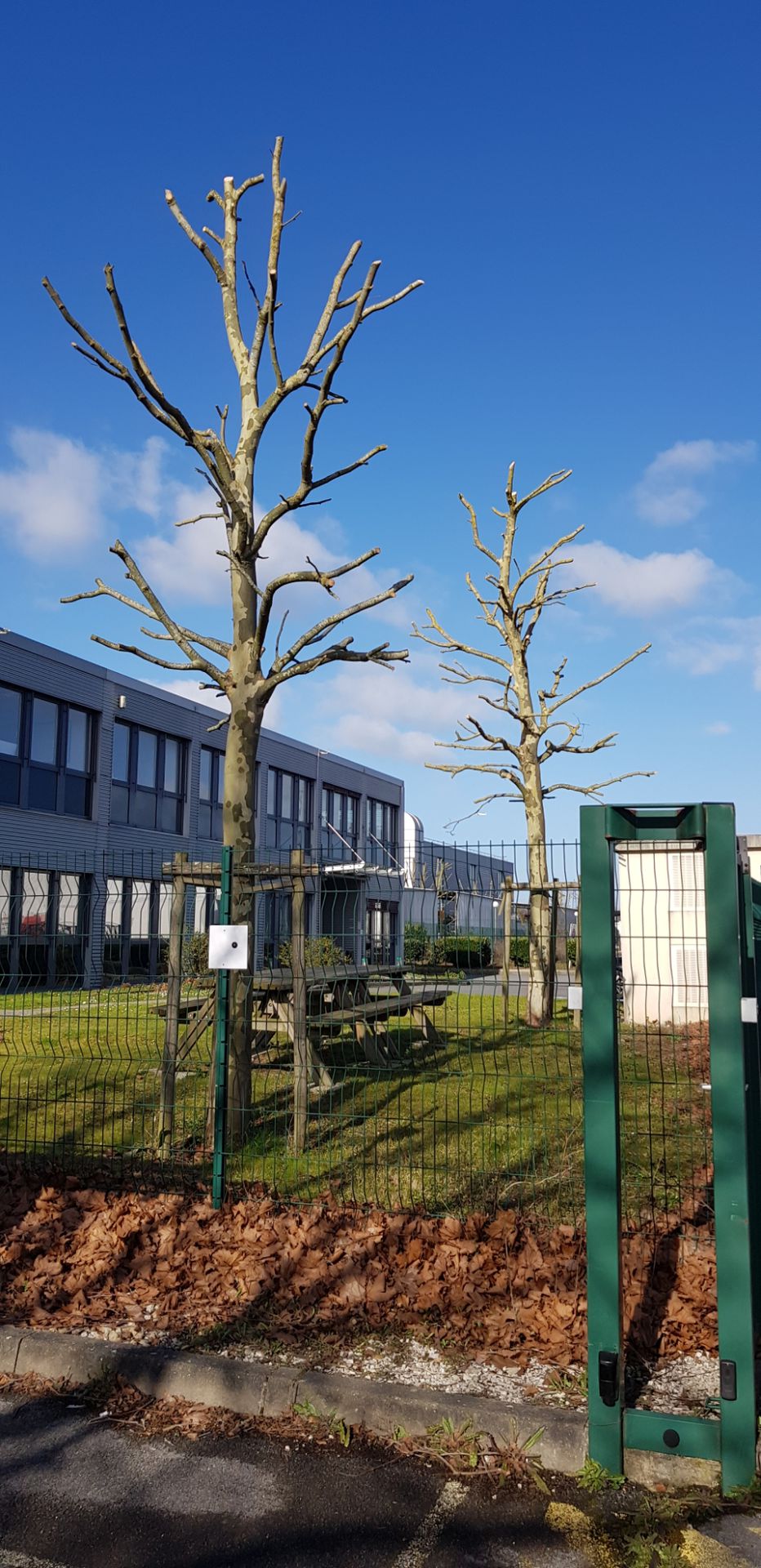 galerie image galerie image