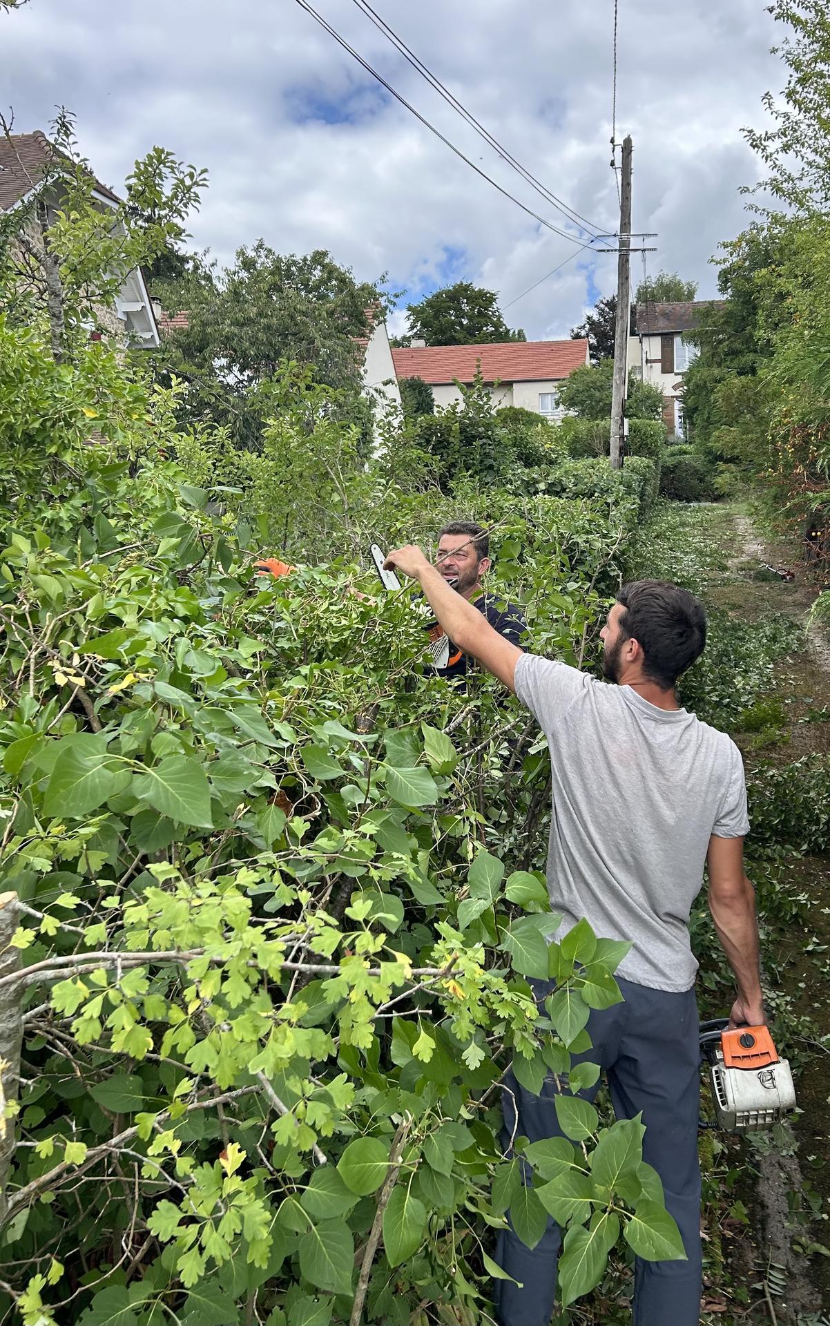 galerie image galerie image