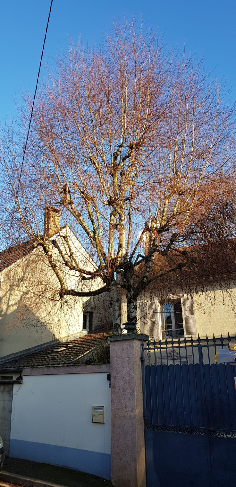 galerie image galerie image