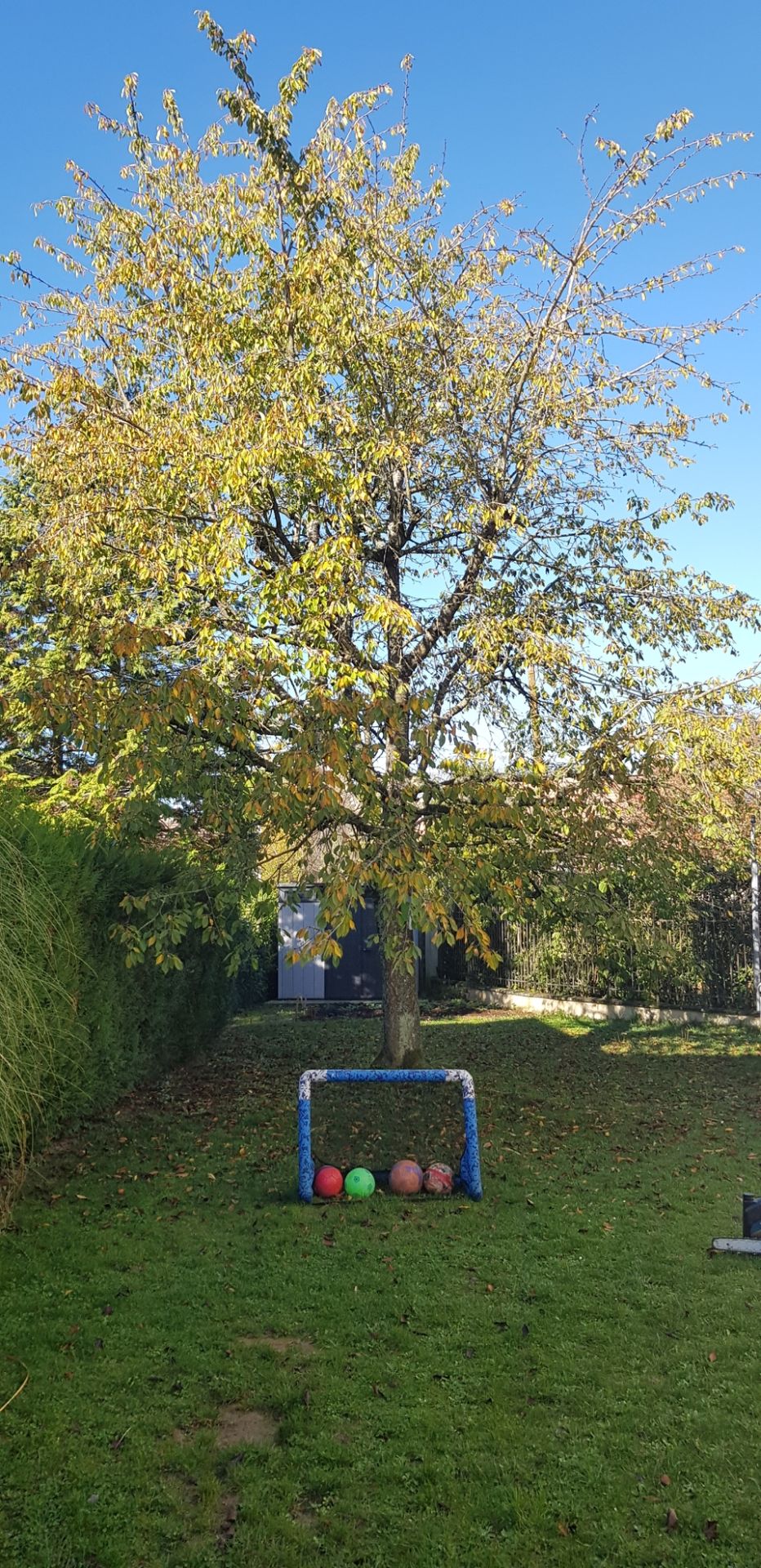 galerie image galerie image