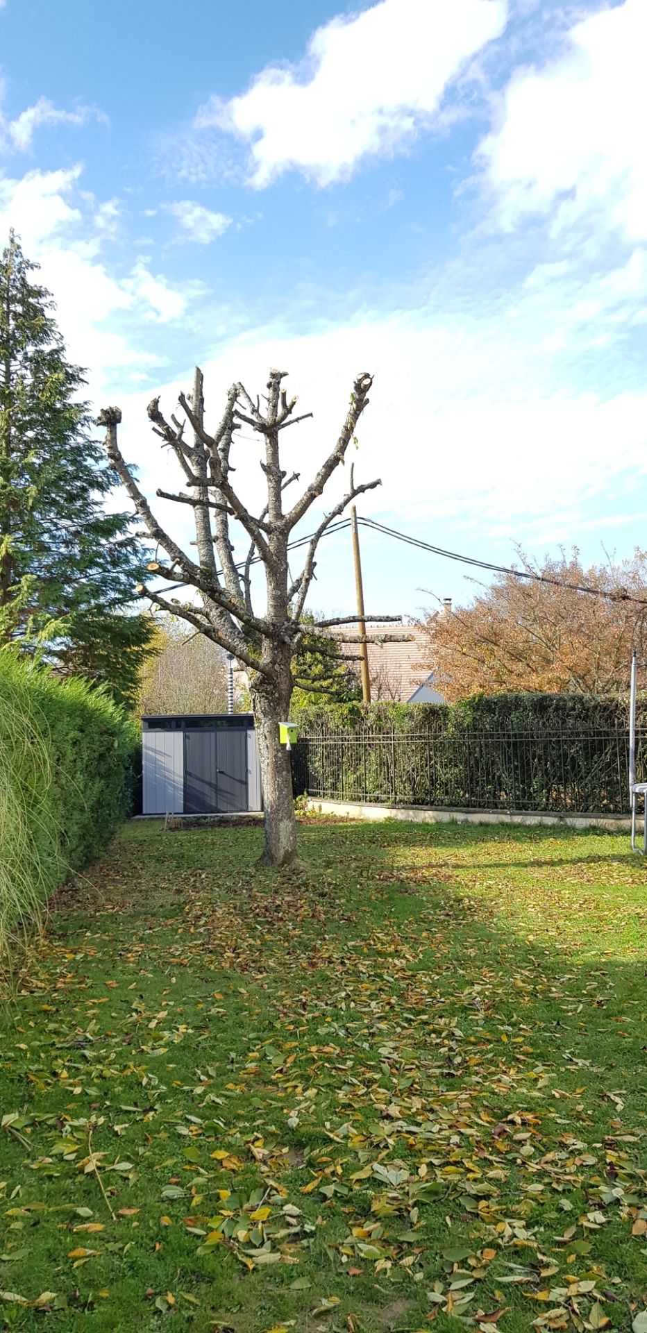 galerie image galerie image