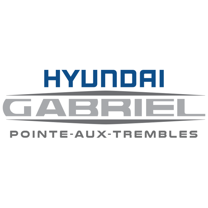 Hyundai Gabriel P.A.T