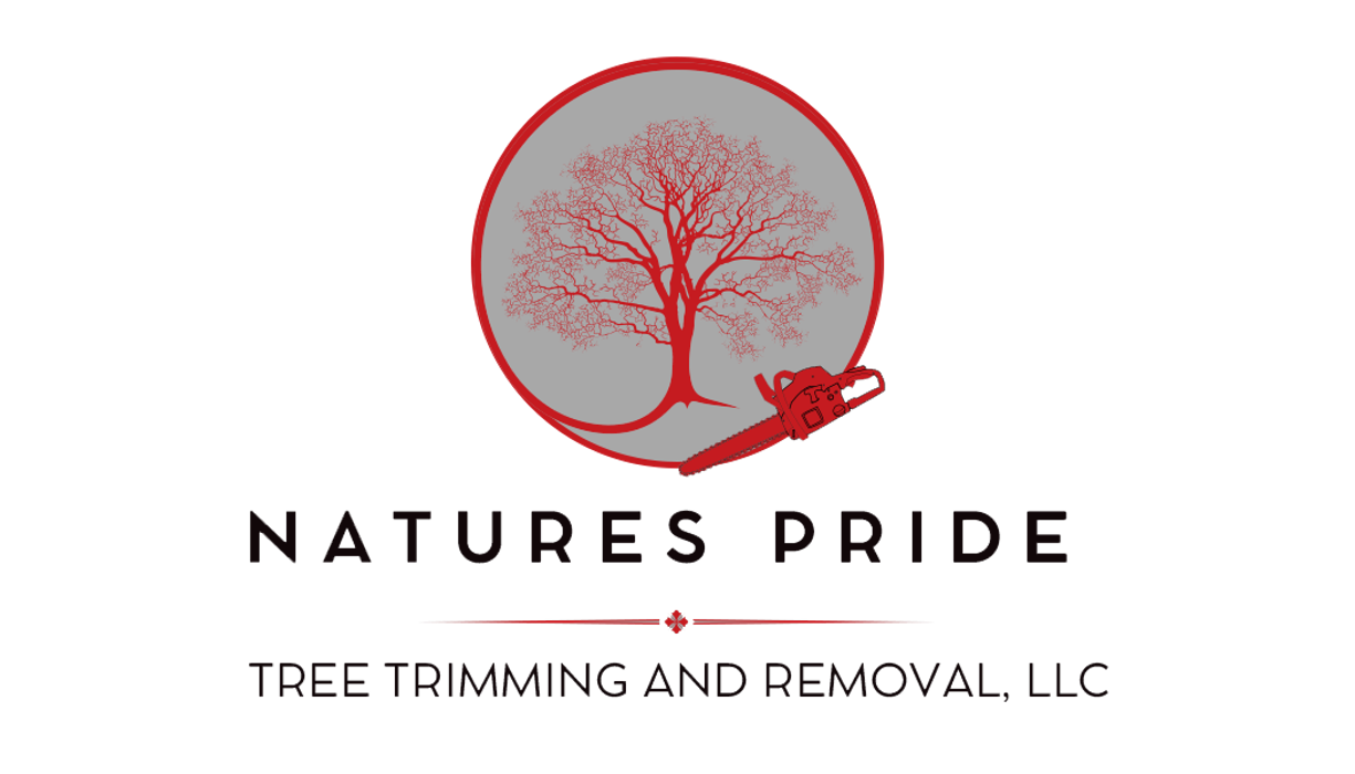 Natures Pride Tree Trimming and Removal - Edmond, OK