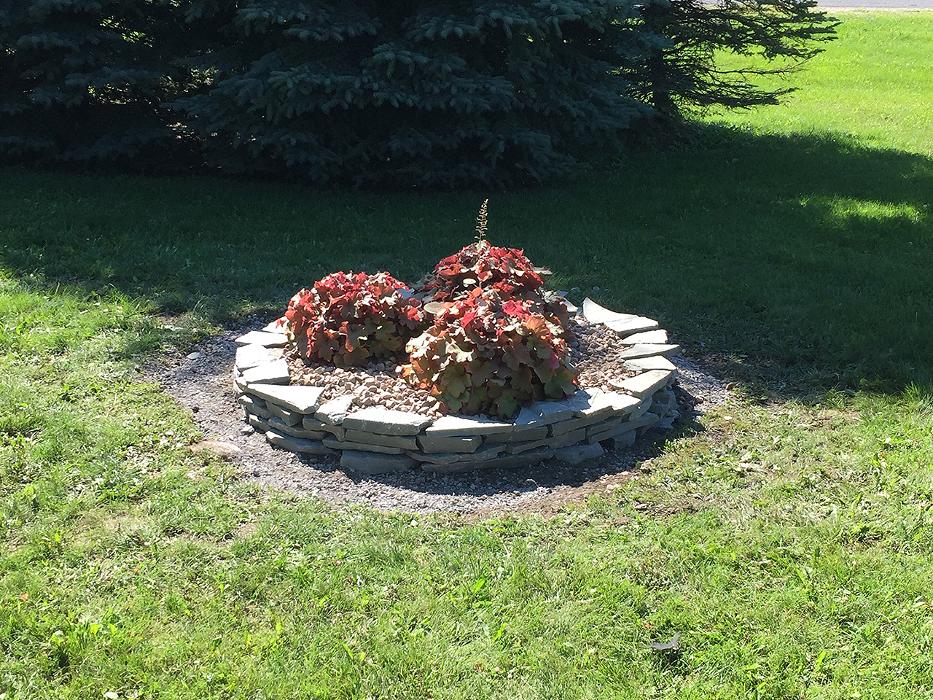 A Cut Above Landscape Image