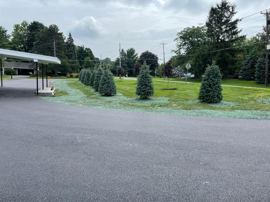 A Cut Above Landscape Image