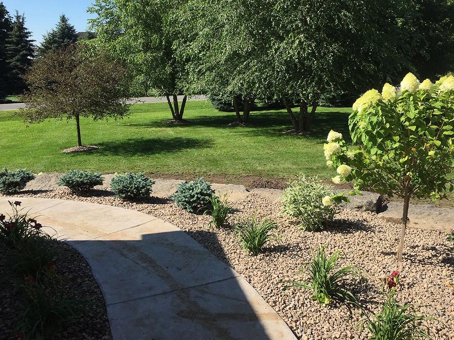 A Cut Above Landscape Image