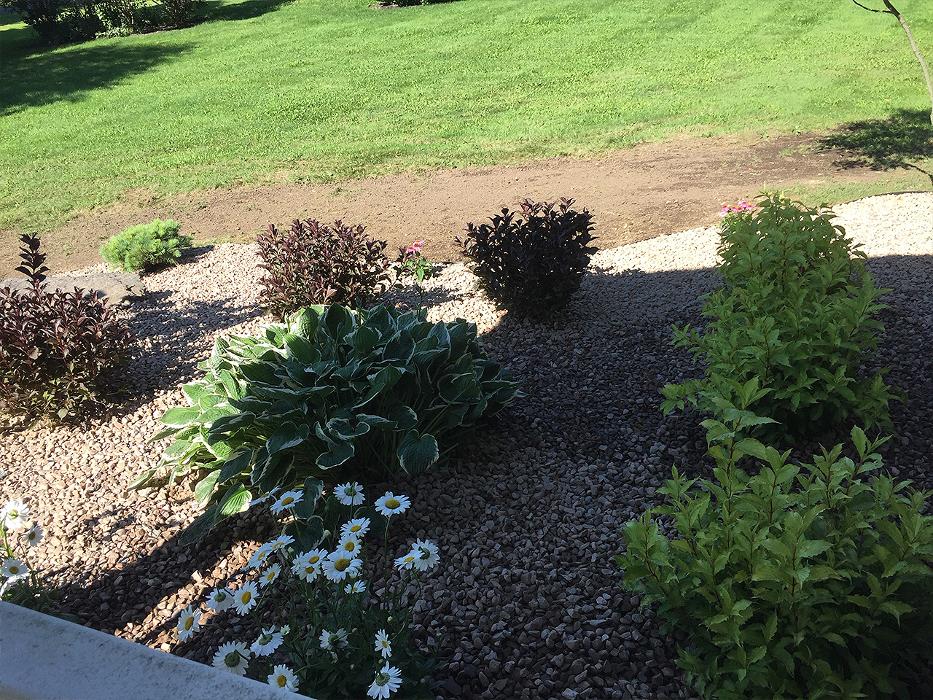 A Cut Above Landscape Image