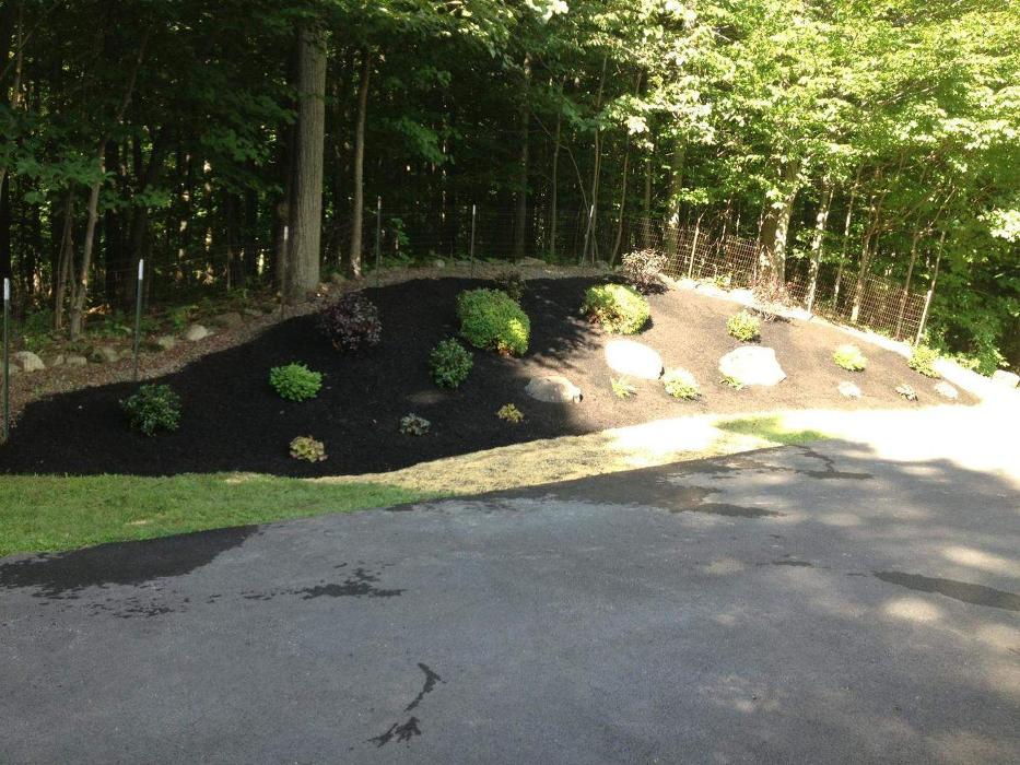 A Cut Above Landscape Image