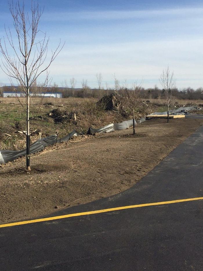 A Cut Above Landscape Image