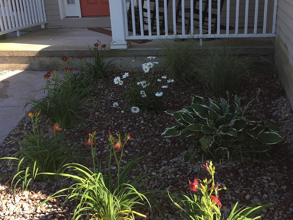 A Cut Above Landscape Image