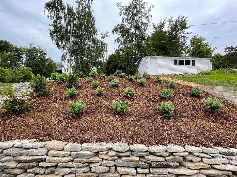 A Cut Above Landscape Image