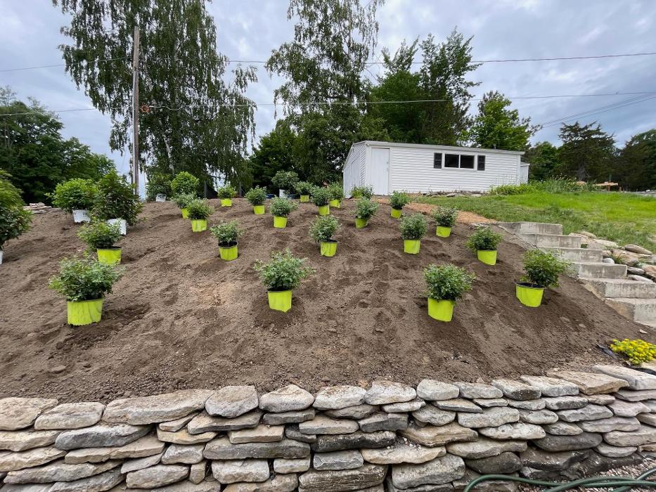 A Cut Above Landscape Image