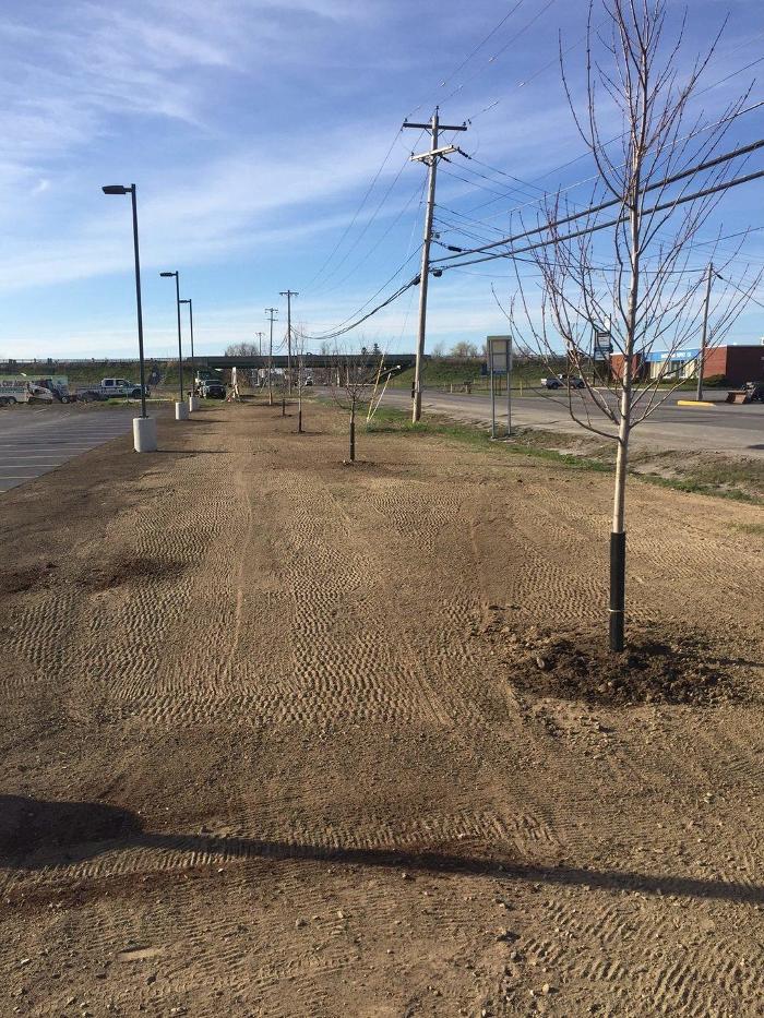 A Cut Above Landscape Image