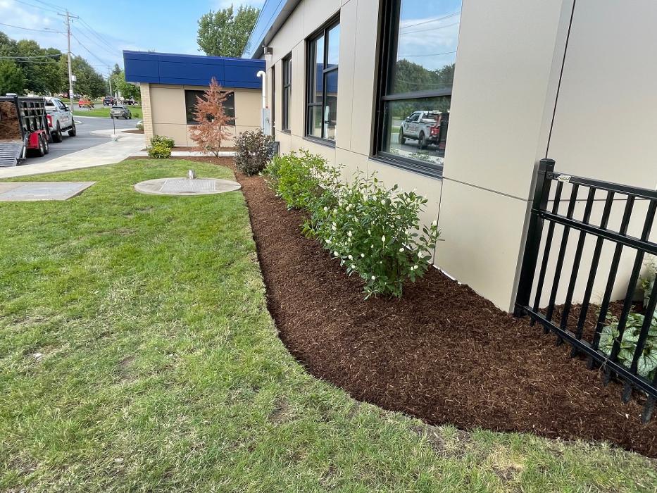 A Cut Above Landscape Image