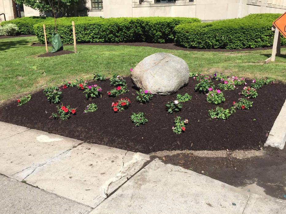 A Cut Above Landscape Image