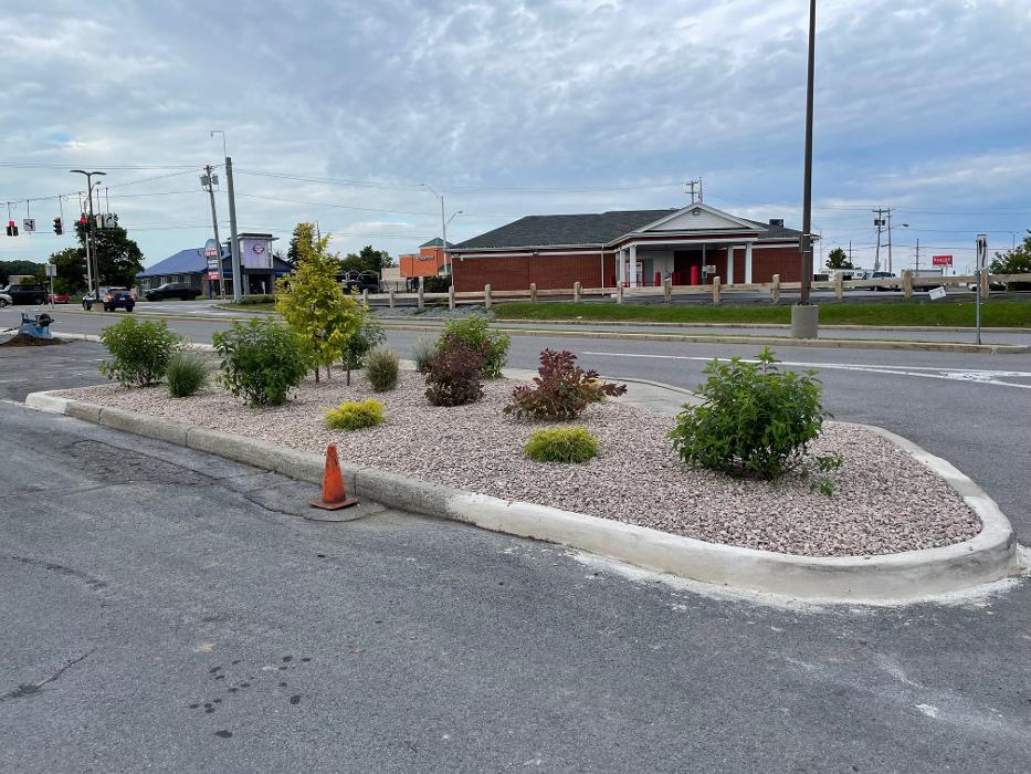 A Cut Above Landscape Image