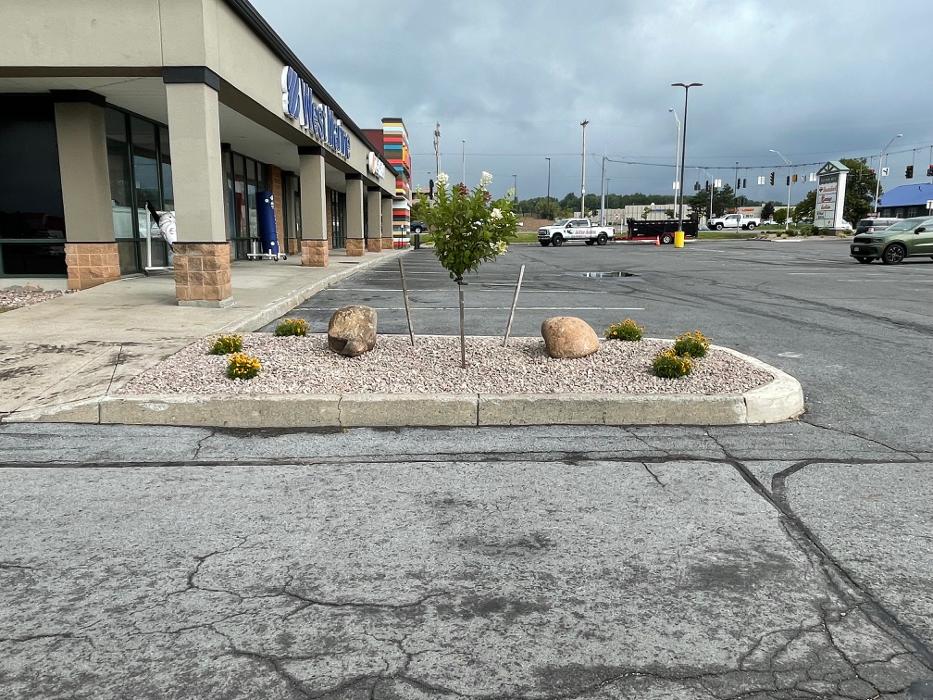 A Cut Above Landscape Image