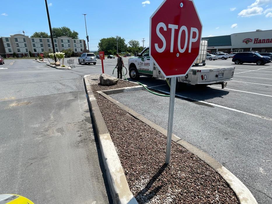 A Cut Above Landscape Image