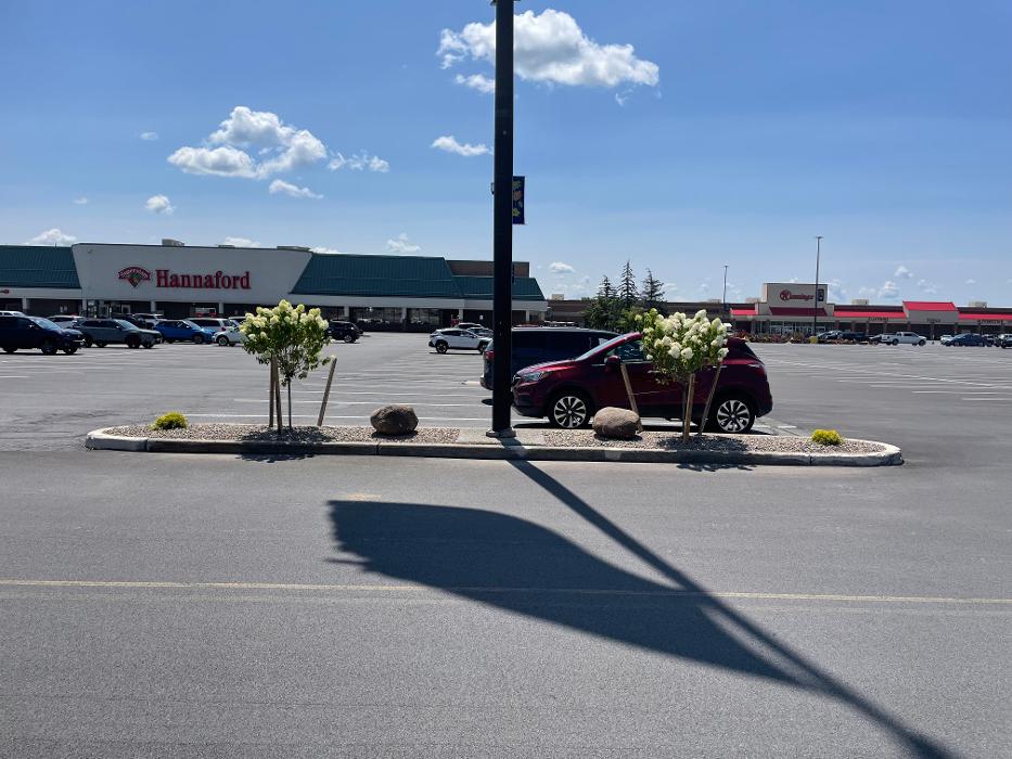 A Cut Above Landscape Image