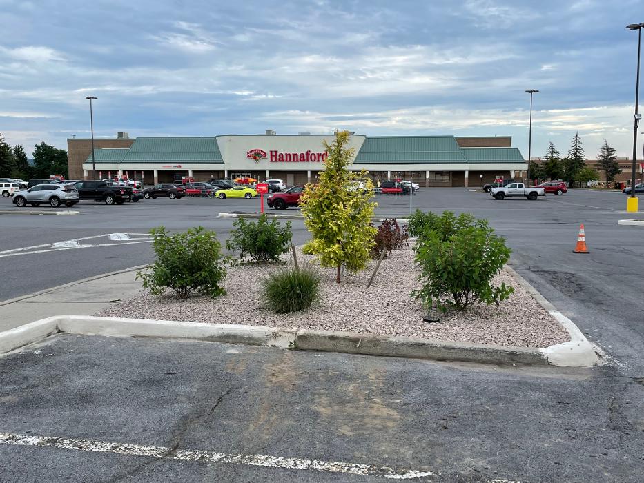 A Cut Above Landscape Image