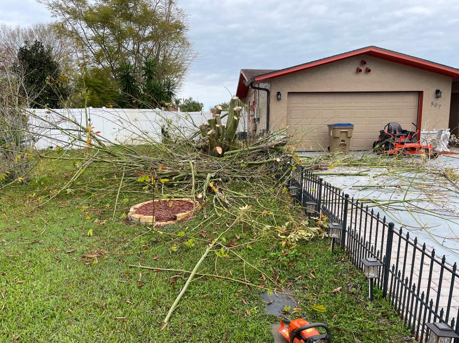 King's Lawn Care and More - Clermont, FL