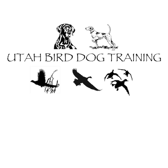 Utah Bird Dog Training - Payson, UT 84651 - (801)380-9433 | ShowMeLocal.com