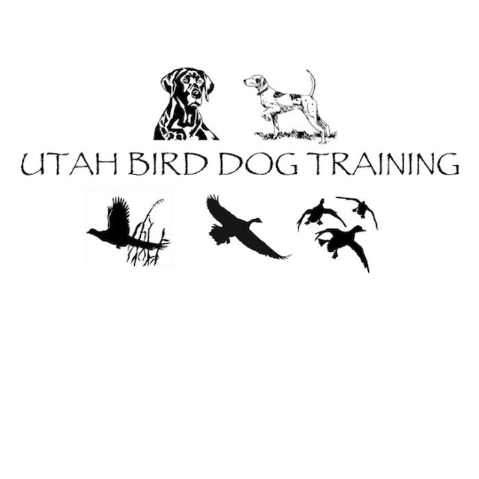 Utah Bird Dog Training
