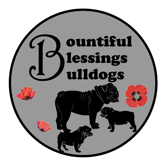 Bountiful Blessing Bulldogs - Shipshewana, IN